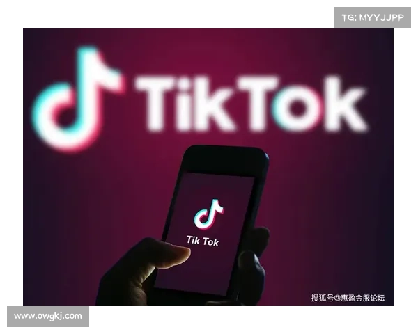 特朗普过渡期,网络社区应期待什么 在线 特朗普过渡期,网络社区应期待什么 在线